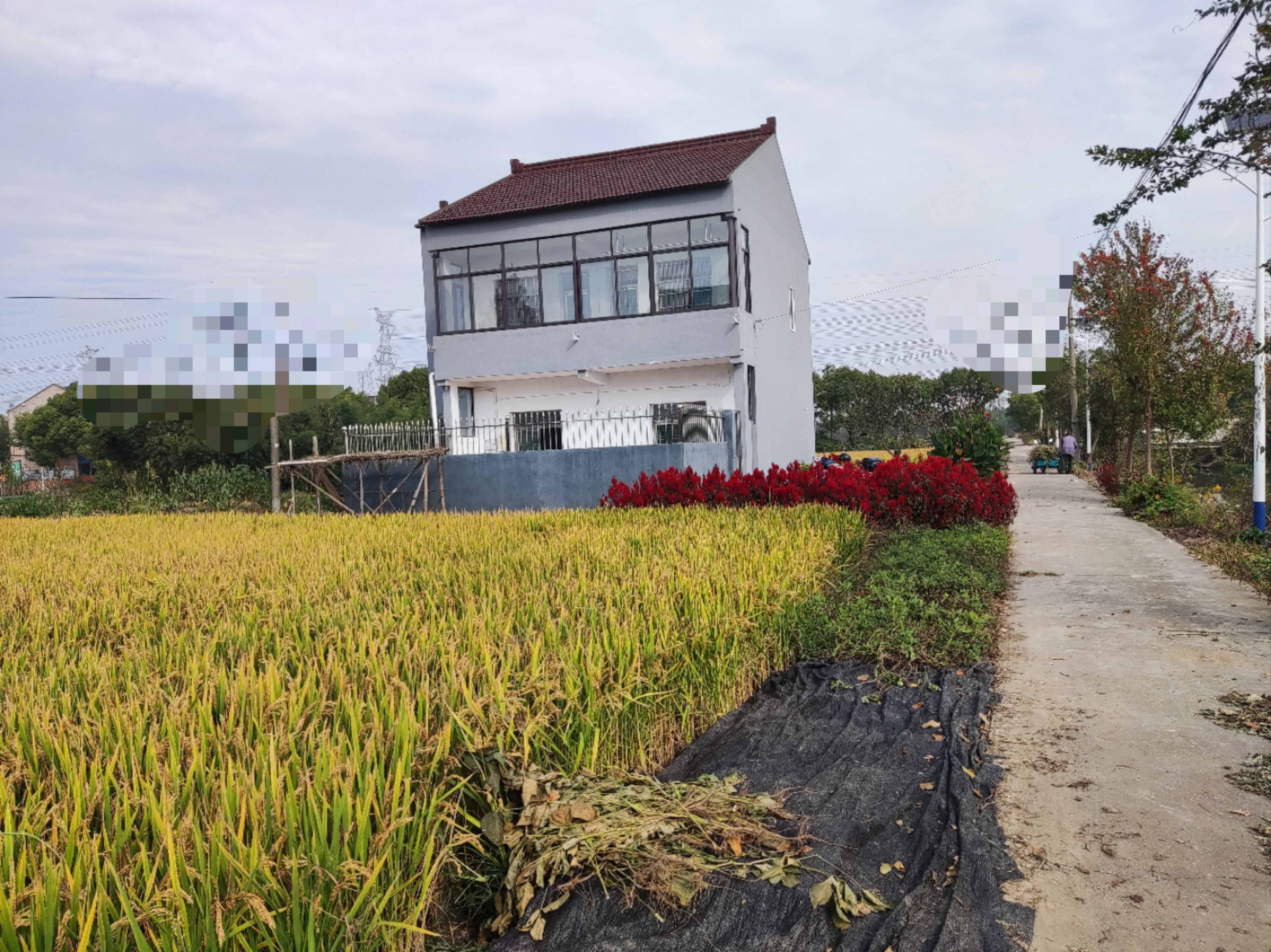 （编号：6059）上海奉贤洪庙农民房出租，一楼一室两厅一厨一卫，二楼四室一卫，带阁楼，建筑面积180平，室内简装，前后无遮挡，有菜地，两面环河，2800每月#上海孙小白二手农民房 #农村房宅基地 #自