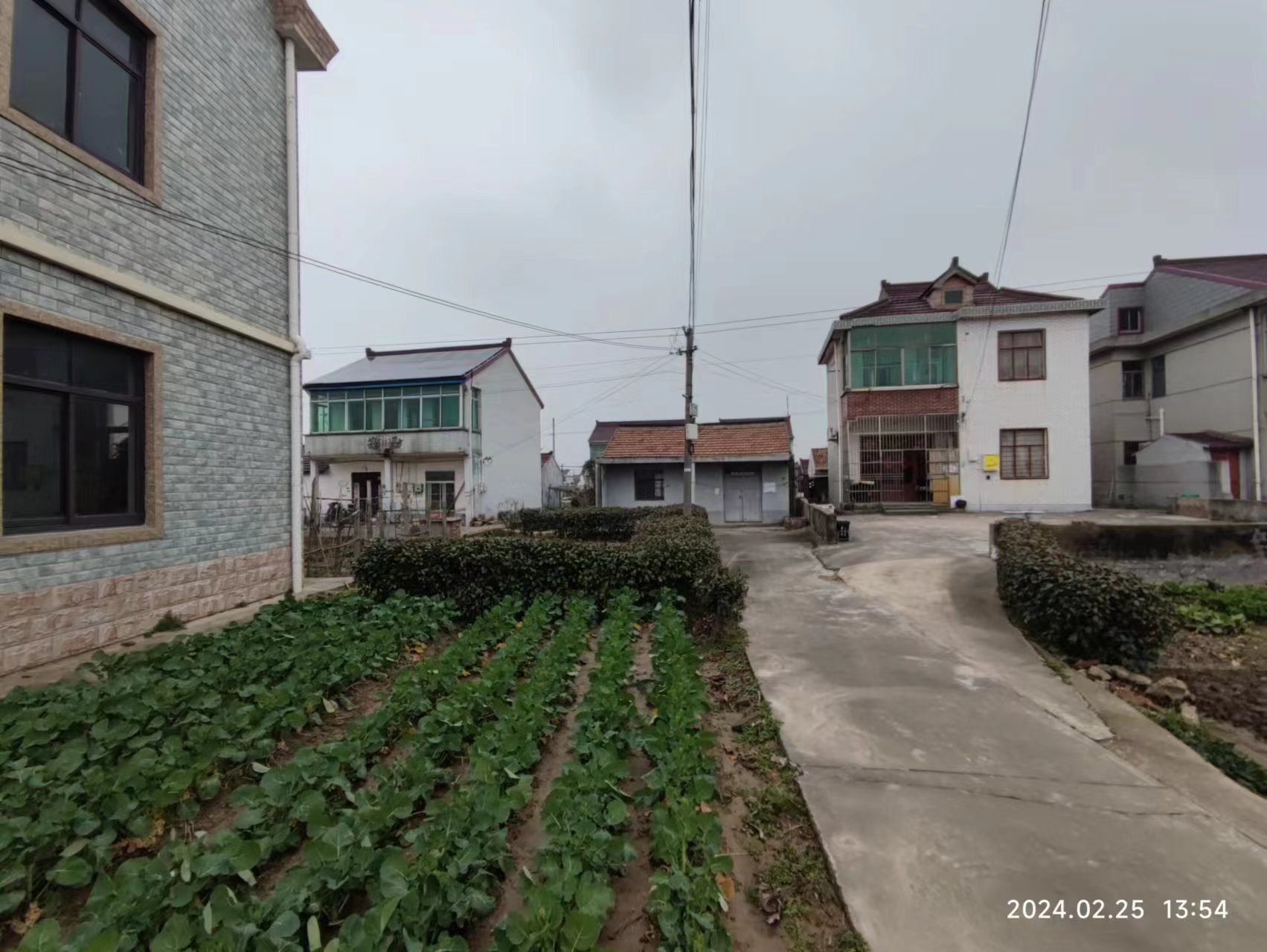 （编号：5013）奉贤奉城乡村小院，门前有院子，屋后有菜地，旁边有小河，面积60平，52万