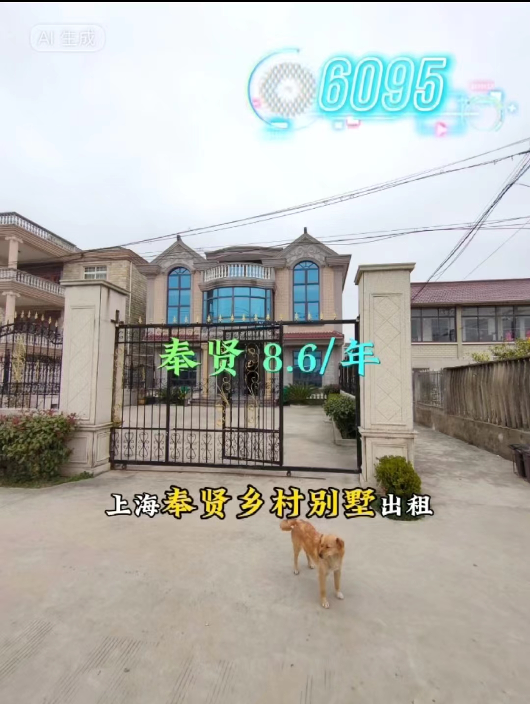 （编号：6095）上海奉贤乡村别墅出租，位于奉贤与宣桥交界处，有楼房300平，楼房后面两排副舍200平，副舍后面有菜地、小河，前后院子200多平， 门前道路宽敞，十多米的货车进出方便，8.6万/年