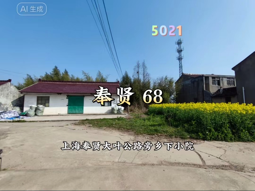 （编号：5021）上海奉贤大叶公路旁乡下小院，前后无遮挡，面积130多平，室内纯毛坯，一手原房东，68万