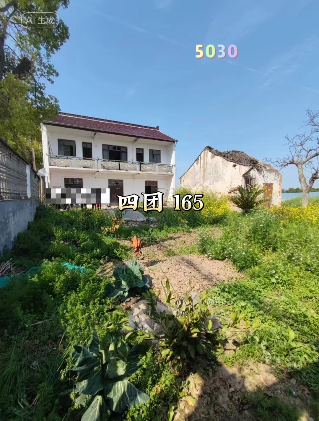 （编号：5030）上海奉贤四团独栋小院，东面有小河，围墙内总占地1亩多，有菜地、竹林，房子三上三下带两间平房，总约240平，一手原房东，165万